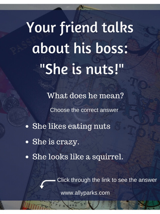 She is nuts means she is crazy. define she is nuts, she is nuts meaning, useful English expressions, ESL, English speaking, learn English speaking, English conversation, Learn English, http://www.allyparks.com/english-blog/she-is-nuts